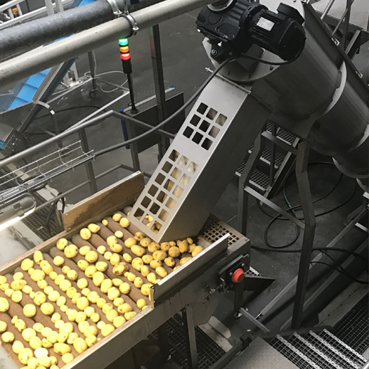 Maszyny do przetwórstwa ziemniaków, innych warzyw i owoców
